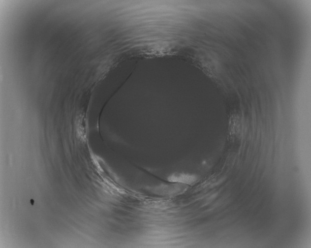 X0000066121202200603311527