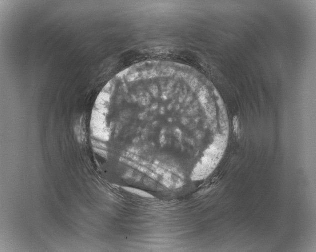 X0000066121203200603311527