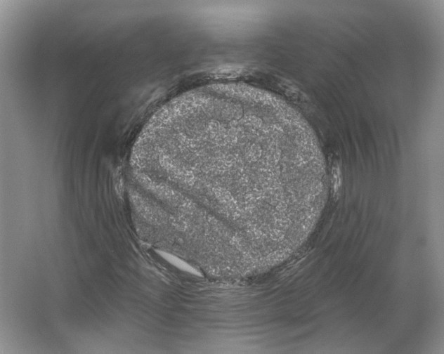 X0000066121204200603311527