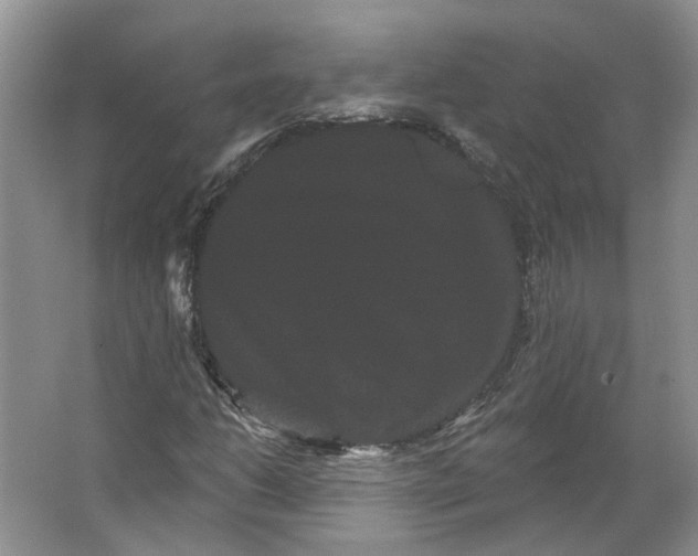 X0000066121206200603311527