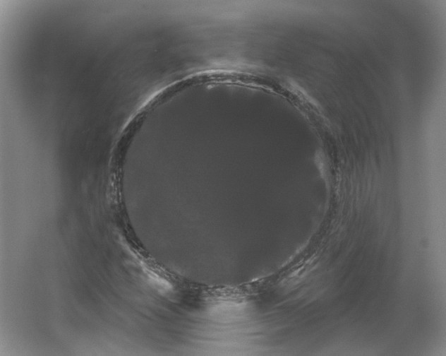 X0000066121208200603311527