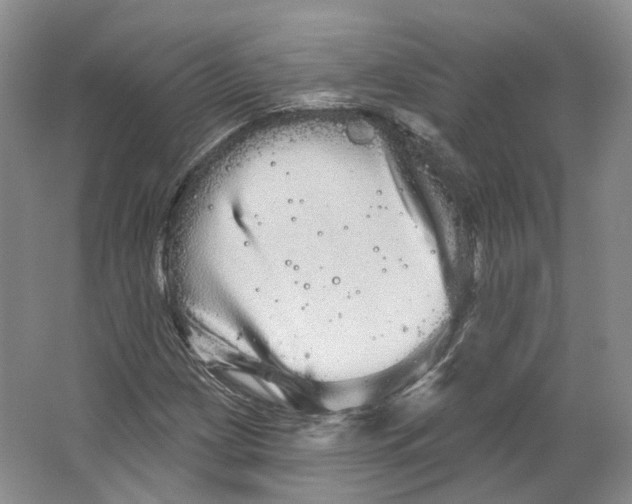 X0000066121209200603311527