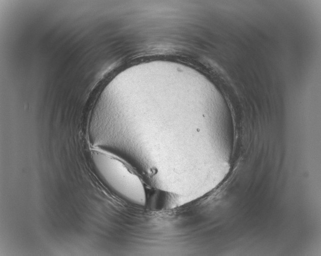 X0000066121210200603311527