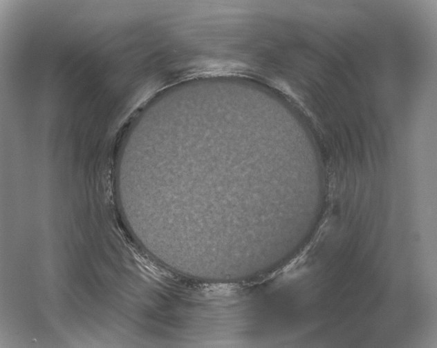 X0000066121211200603311527