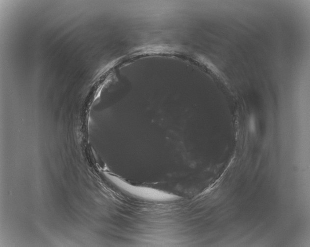 X0000066121213200603311527