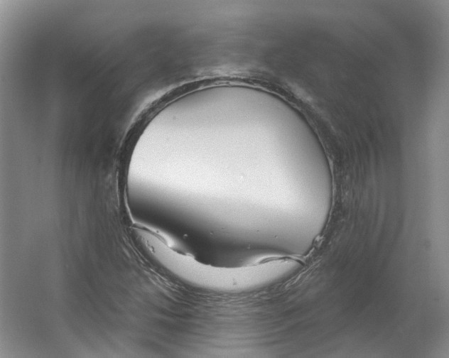 X0000066121214200603311527