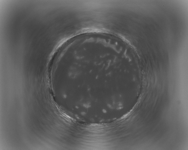 X0000066121215200603311527