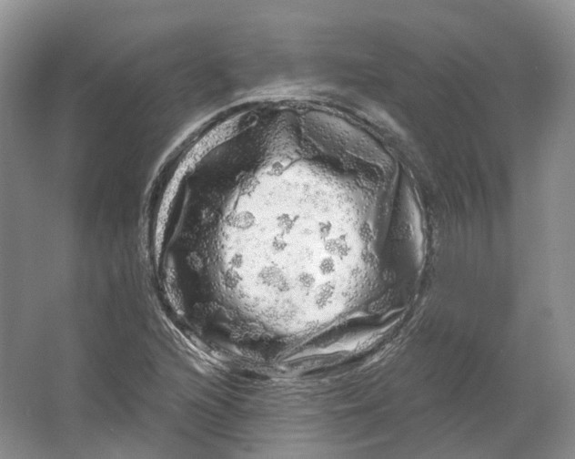 X0000066121216200603311527