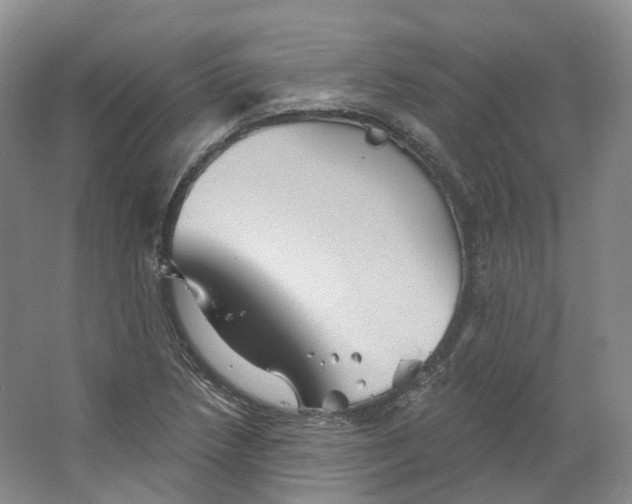 X0000066121218200603311527