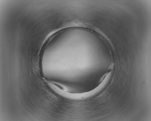 X0000066121222200603311527