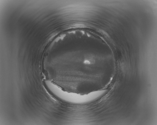 X0000066121225200603311527