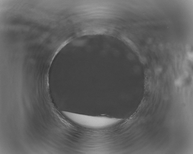 X0000066121226200603311527