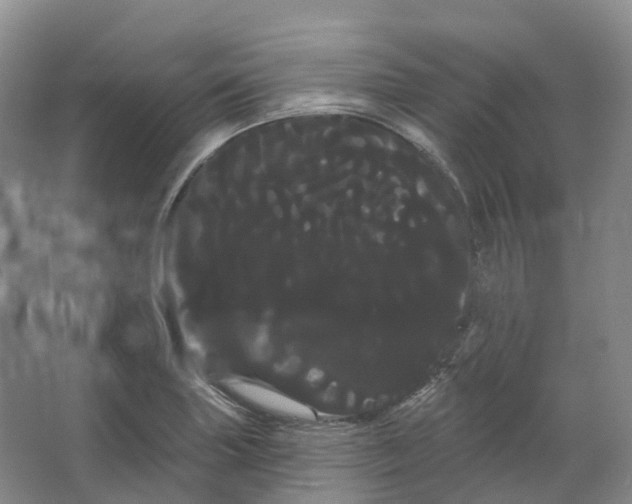 X0000066121227200603311527