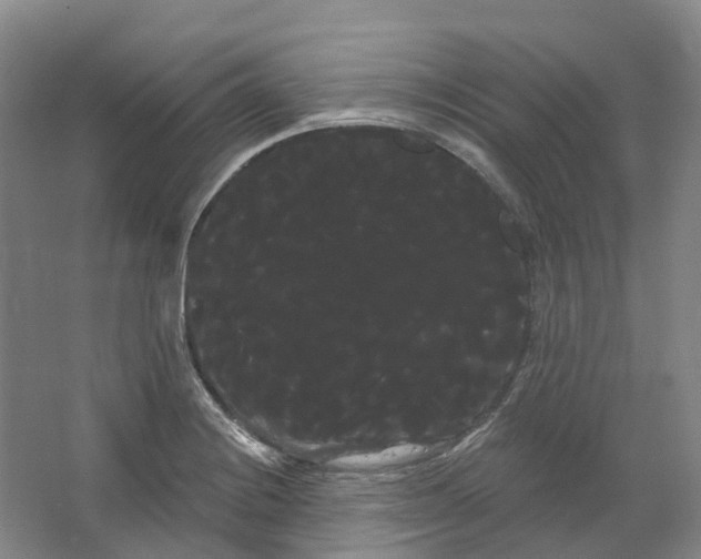 X0000066121228200603311527