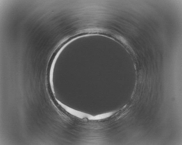 X0000066121229200603311527