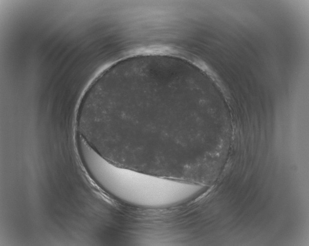 X0000066121232200603311527