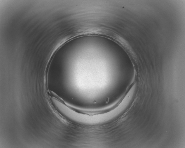 X0000066121234200603311527