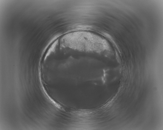 X0000066121235200603311527