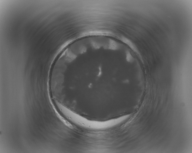 X0000066121237200603311527