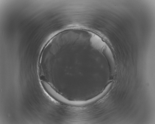 X0000066121239200603311527