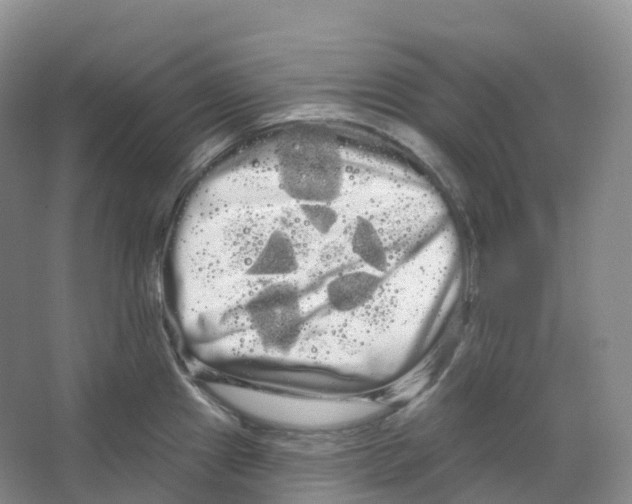 X0000066121241200603311527