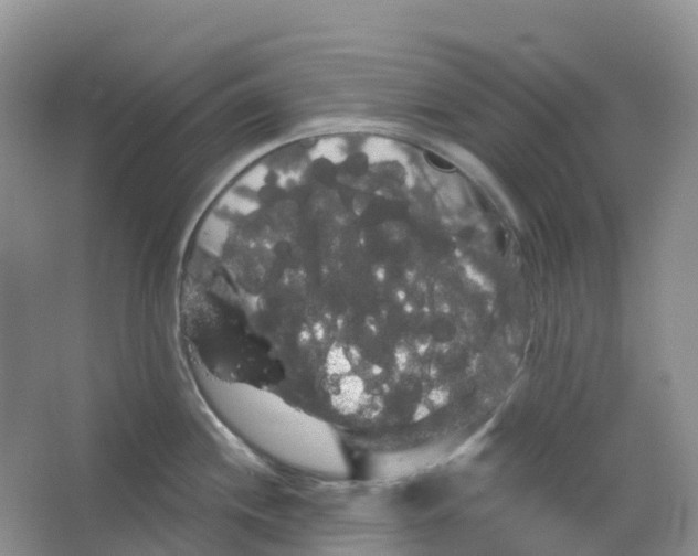 X0000066121244200603311527