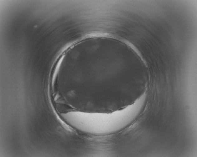 X0000066121245200603311527