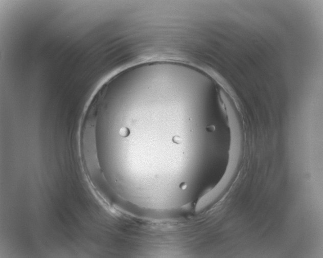 X0000066121246200603311527