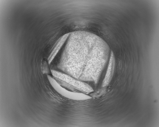 X0000066121250200603311526