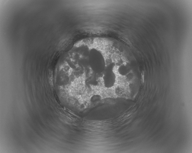 X0000066121251200603311526