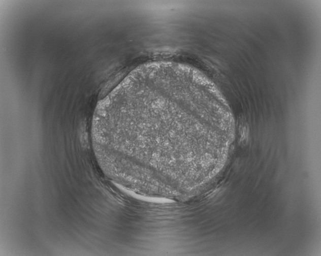 X0000066121252200603311526