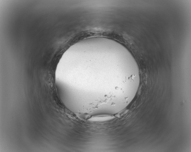 X0000066121253200603311526