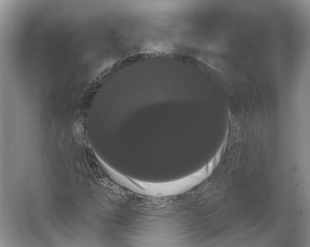 X0000066121254200603311526