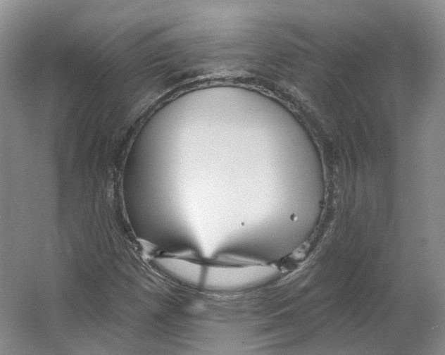 X0000066121257200603311526