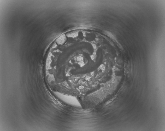 X0000066121260200603311526