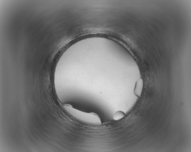 X0000066121261200603311526