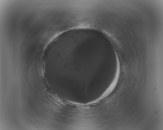 X0000066121262200603311526