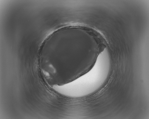 X0000066121263200603311526