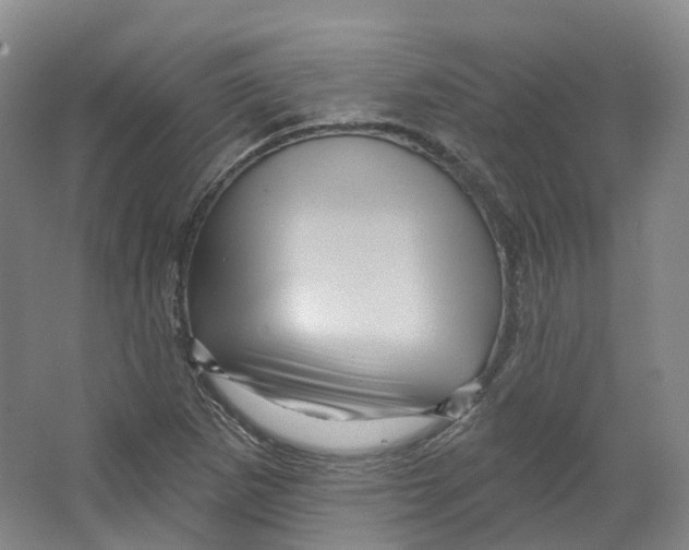 X0000066121265200603311526