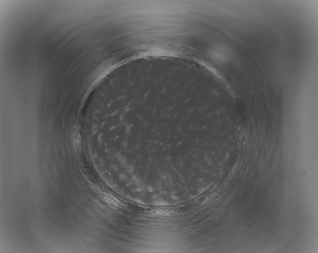 X0000066121266200603311526