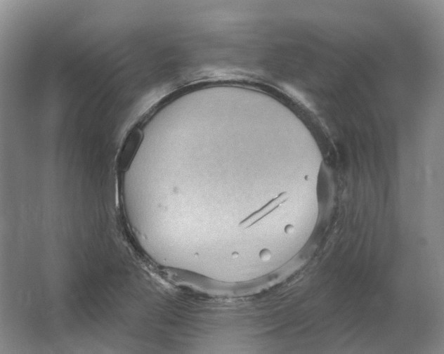 X0000066121269200603311526