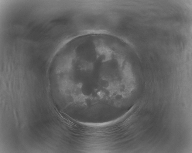 X0000066121271200603311526