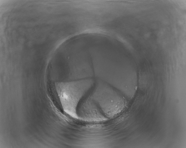 X0000066121272200603311526