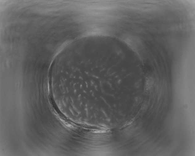 X0000066121274200603311526