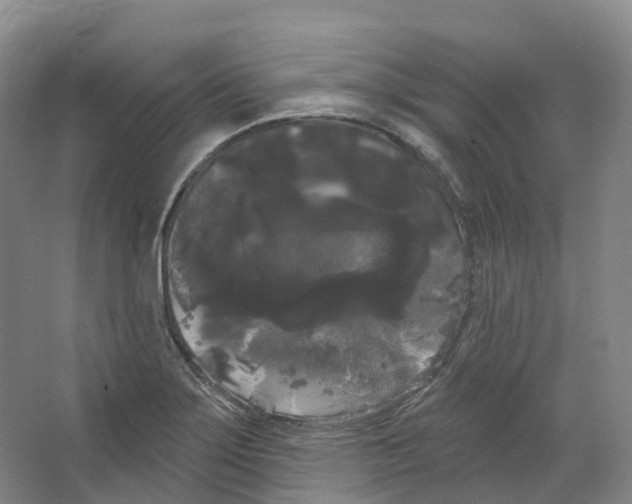 X0000066121275200603311526