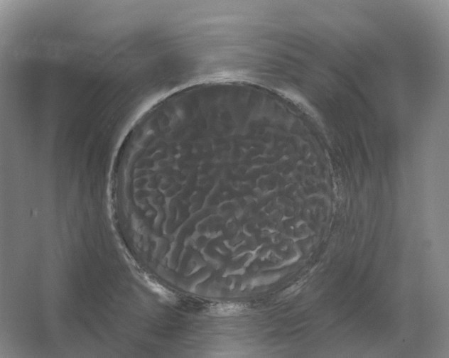 X0000066121278200603311526