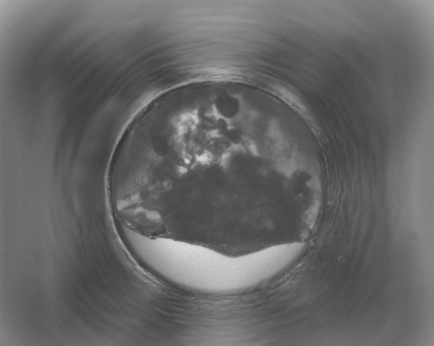 X0000066121283200603311526