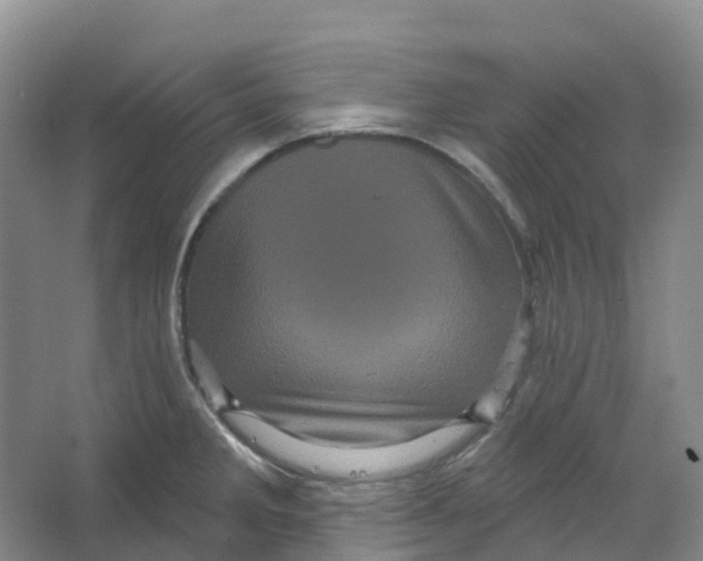 X0000066121285200603311526