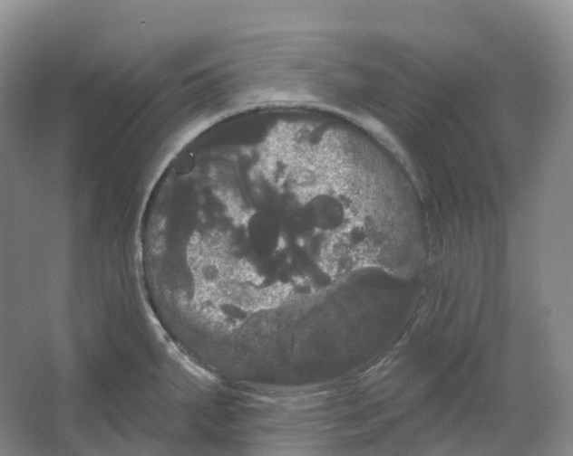 X0000066121287200603311526