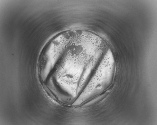 X0000066121288200603311526